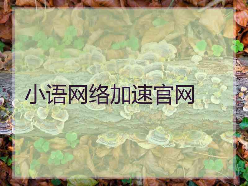 小语网络加速官网