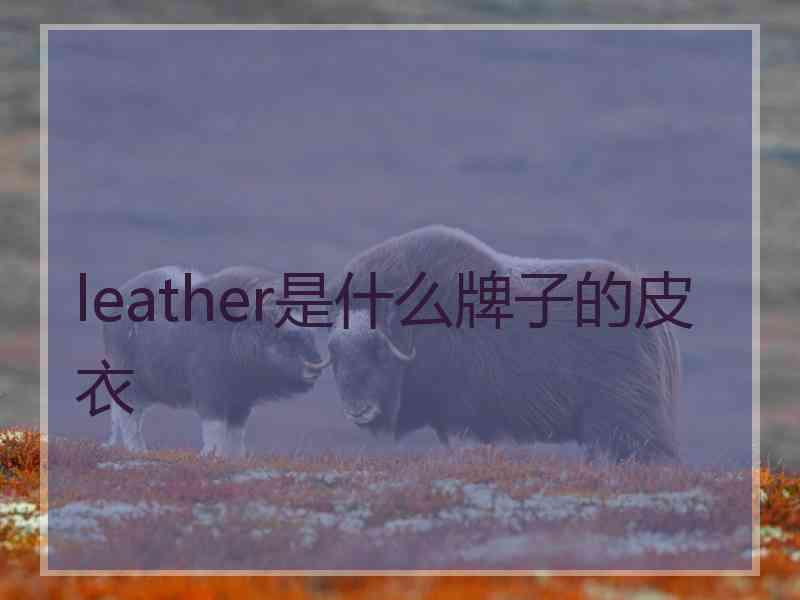 leather是什么牌子的皮衣