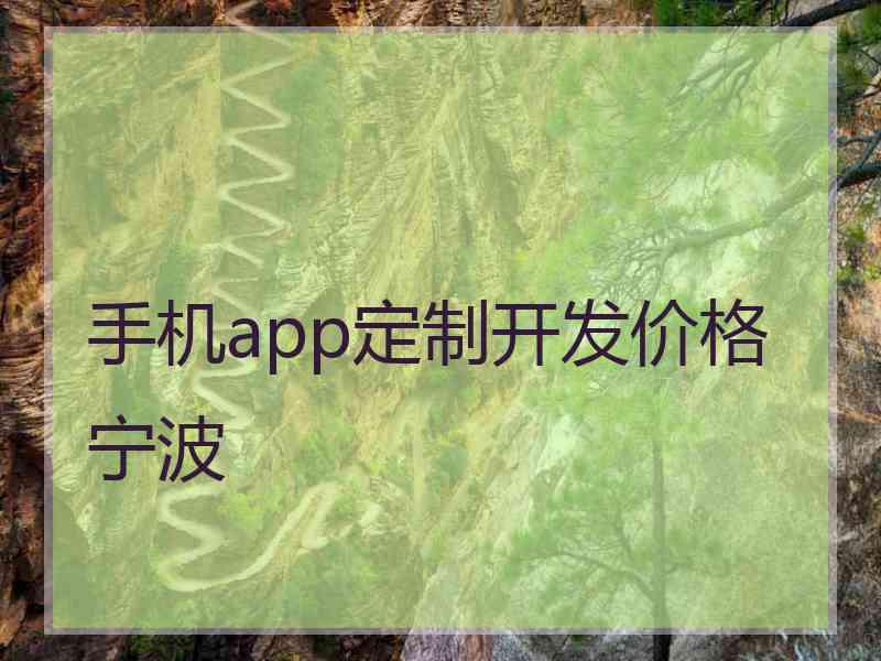 手机app定制开发价格宁波