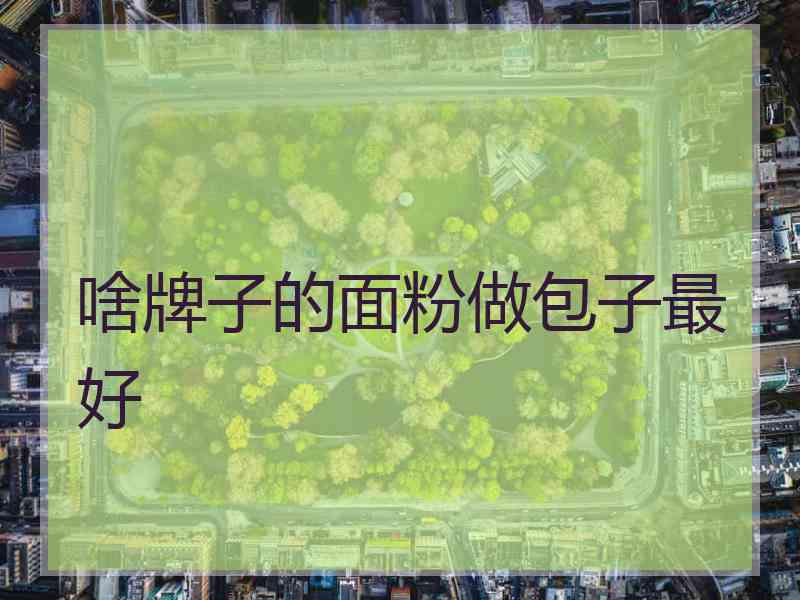 啥牌子的面粉做包子最好