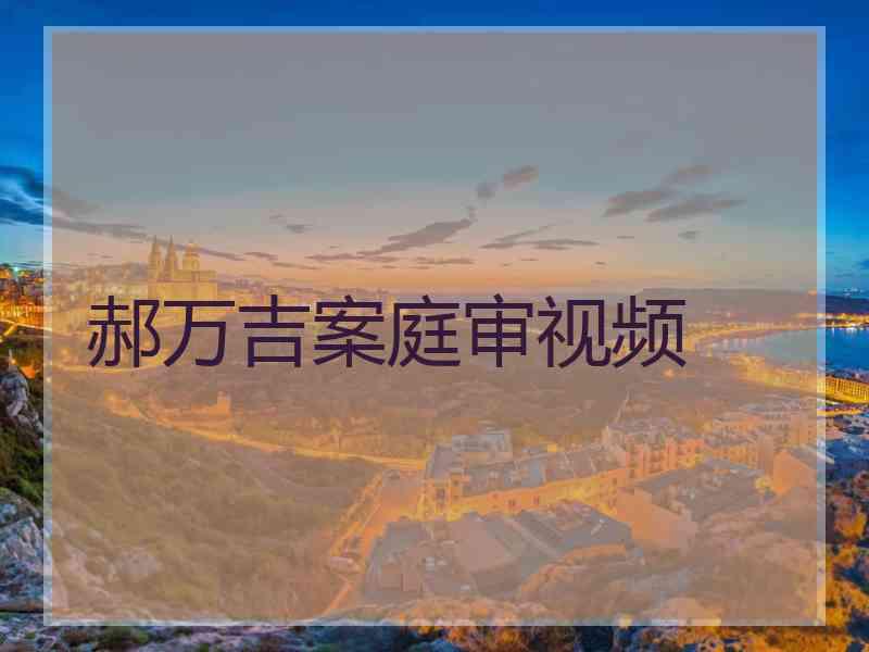 郝万吉案庭审视频