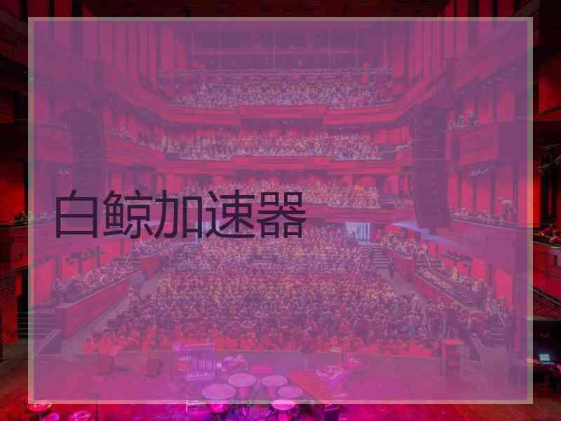 白鲸加速器