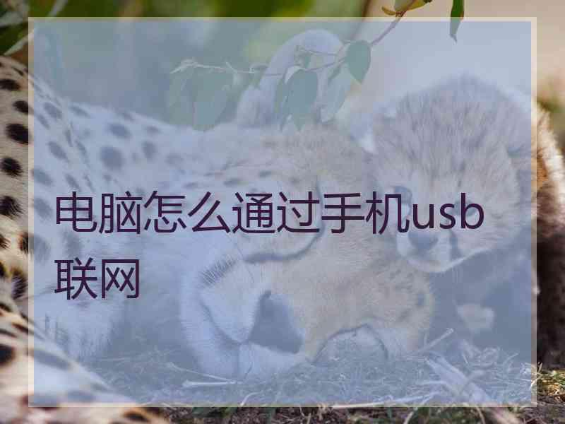 电脑怎么通过手机usb联网