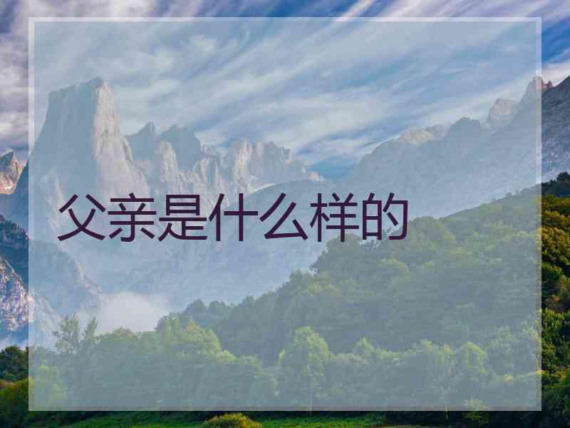 父亲是什么样的