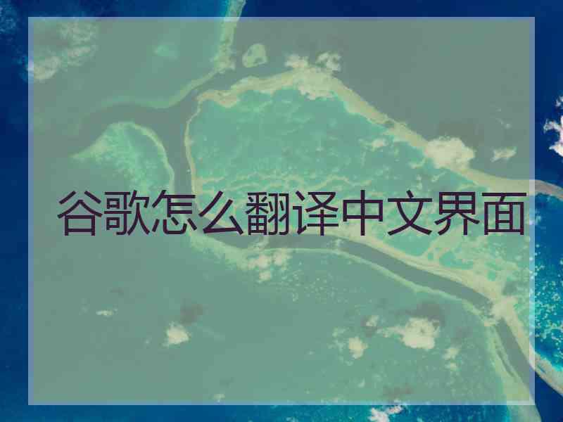 谷歌怎么翻译中文界面