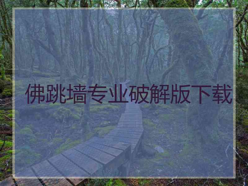 佛跳墙专业破解版下载