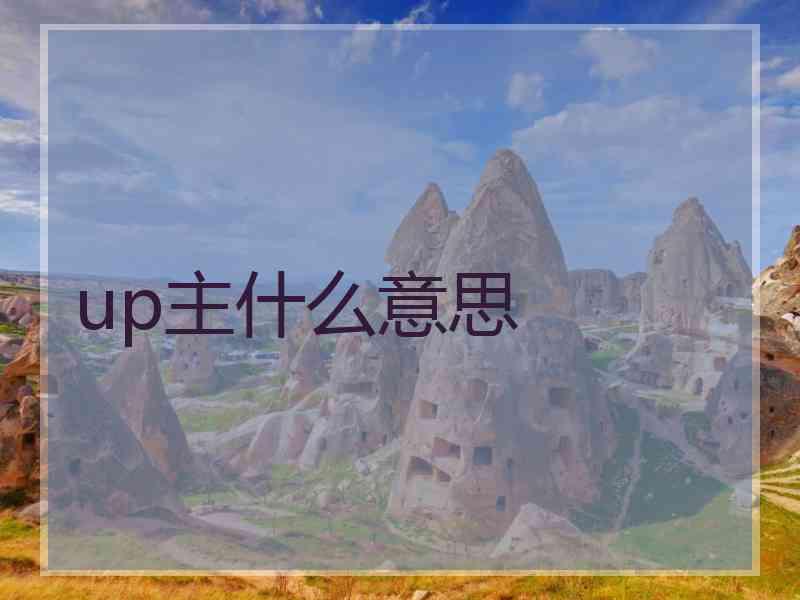 up主什么意思
