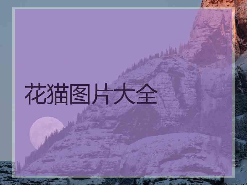花猫图片大全