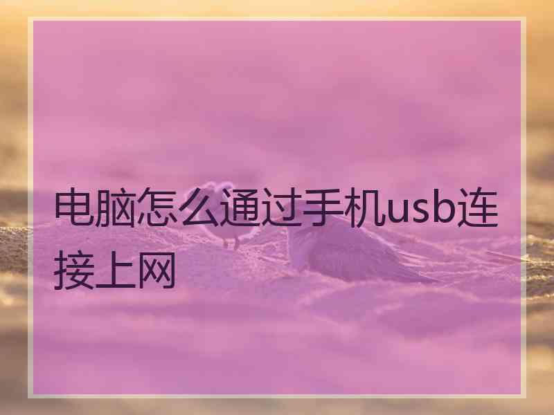 电脑怎么通过手机usb连接上网