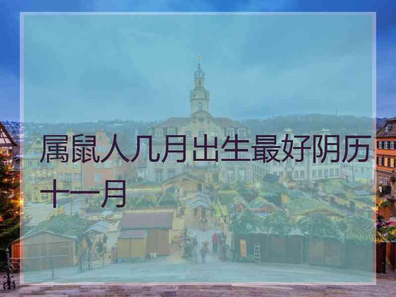 属鼠人几月出生最好阴历十一月