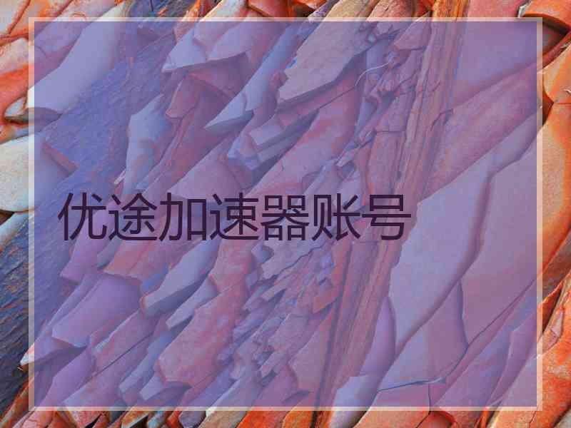 优途加速器账号