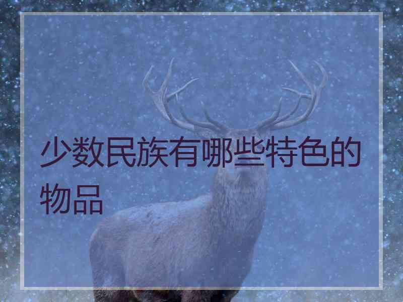 少数民族有哪些特色的物品
