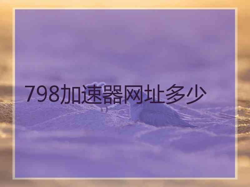 798加速器网址多少