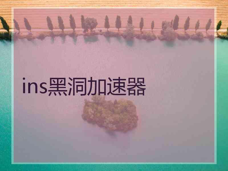 ins黑洞加速器