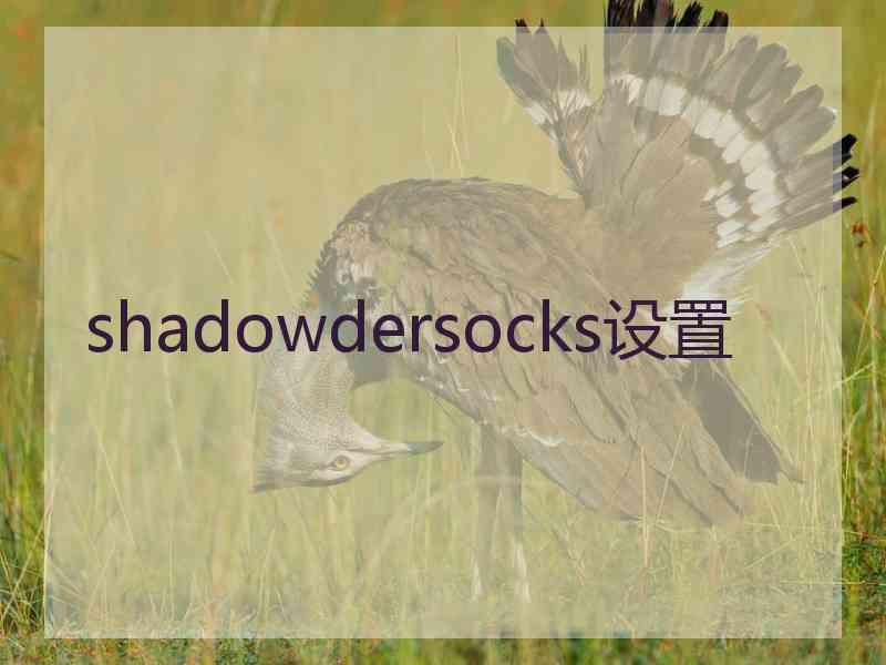 shadowdersocks设置