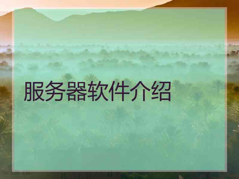 服务器软件介绍