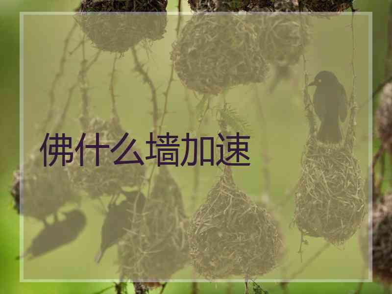 佛什么墙加速