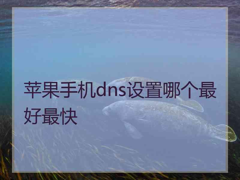 苹果手机dns设置哪个最好最快