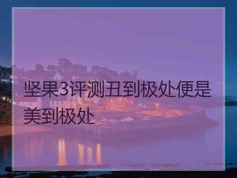 坚果3评测丑到极处便是美到极处
