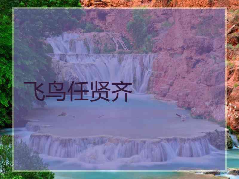 飞鸟任贤齐