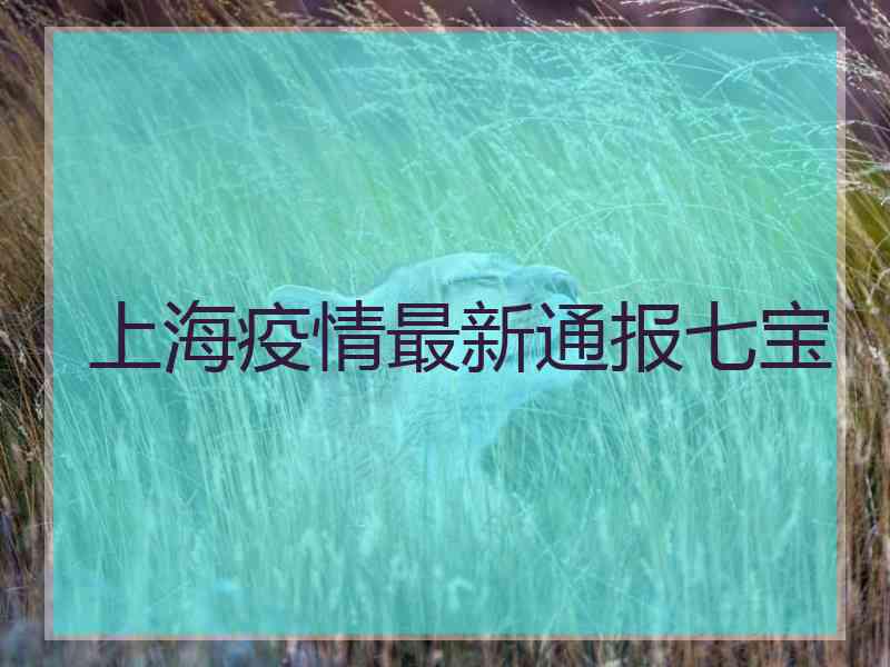 上海疫情最新通报七宝