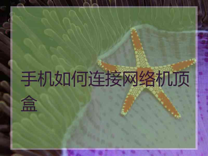 手机如何连接网络机顶盒
