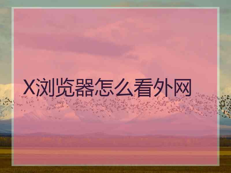 X浏览器怎么看外网