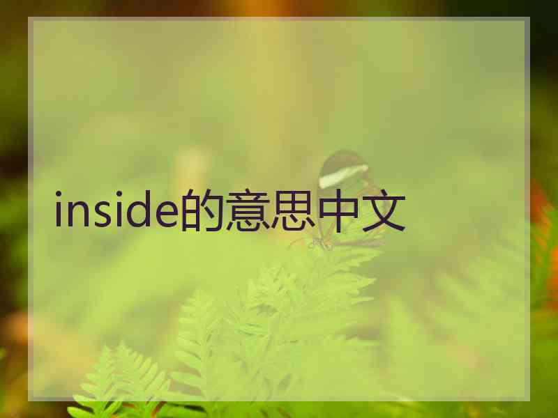 inside的意思中文