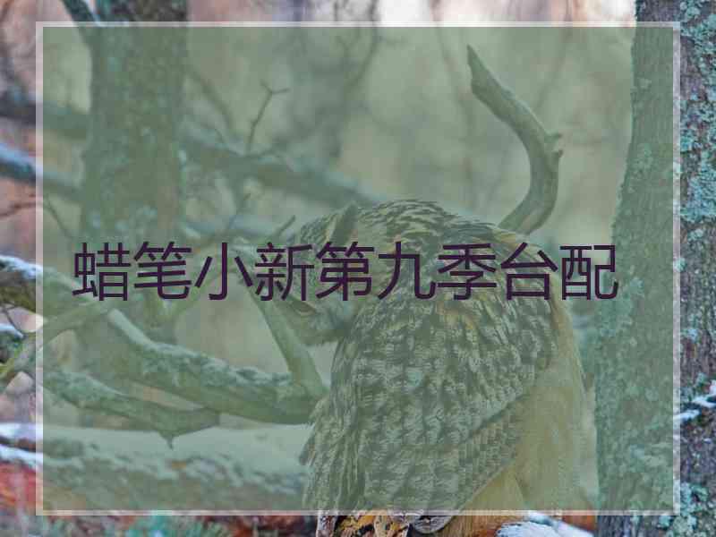 蜡笔小新第九季台配