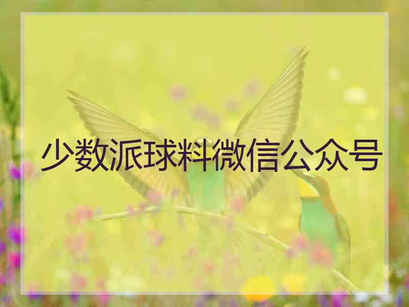 少数派球料微信公众号