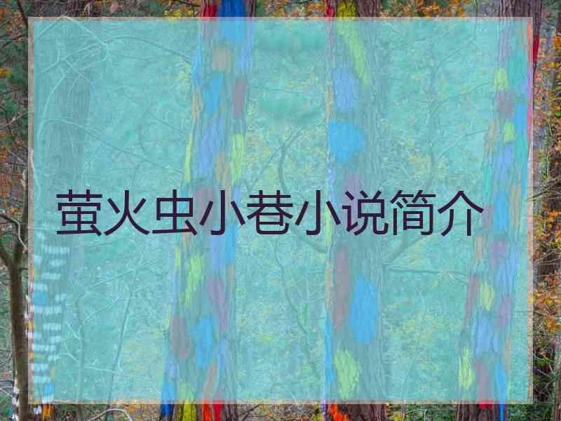 萤火虫小巷小说简介