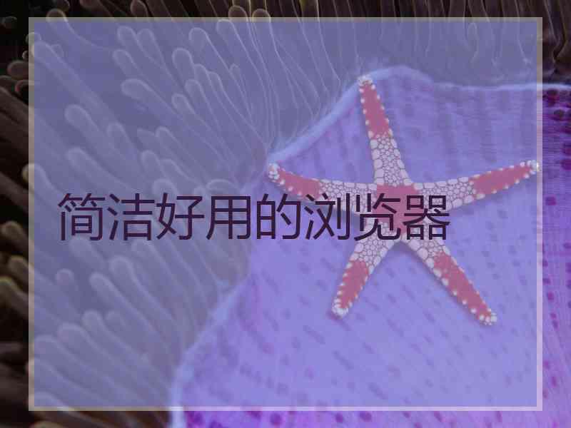 简洁好用的浏览器