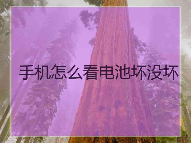 手机怎么看电池坏没坏