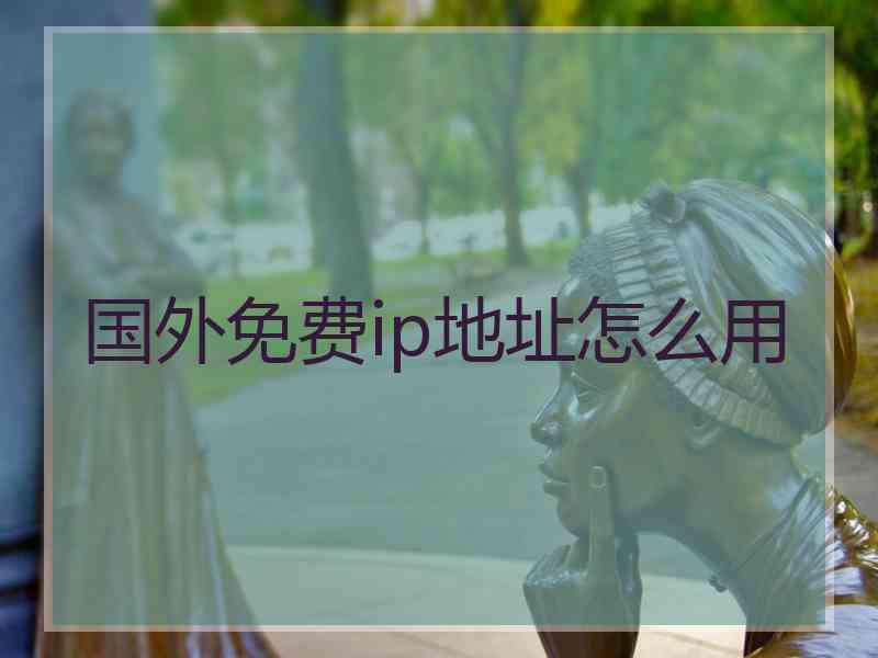 国外免费ip地址怎么用