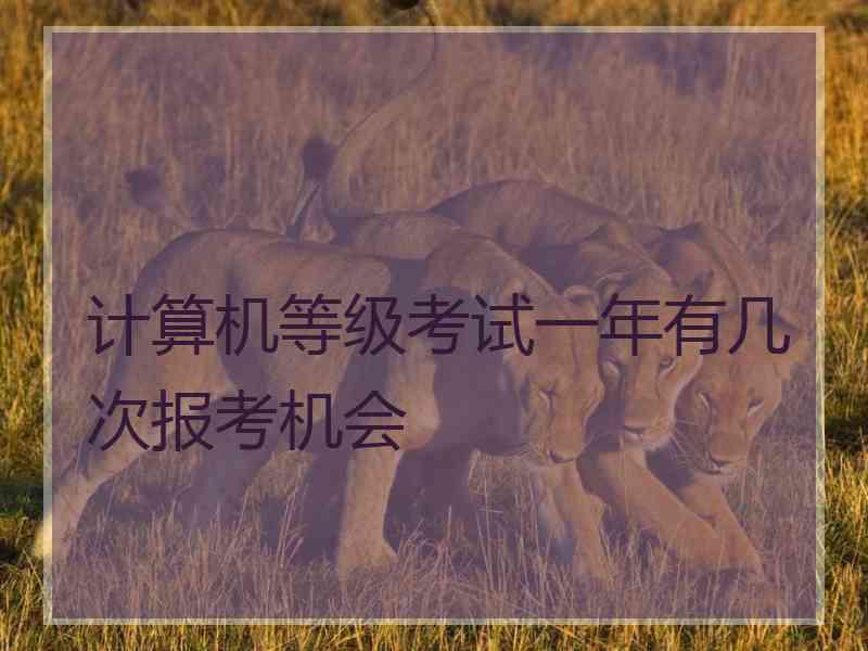 计算机等级考试一年有几次报考机会
