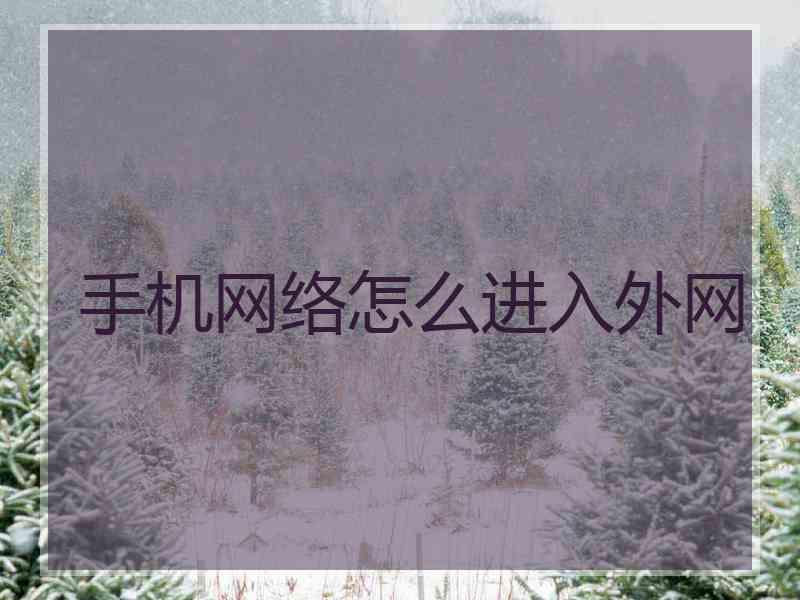 手机网络怎么进入外网