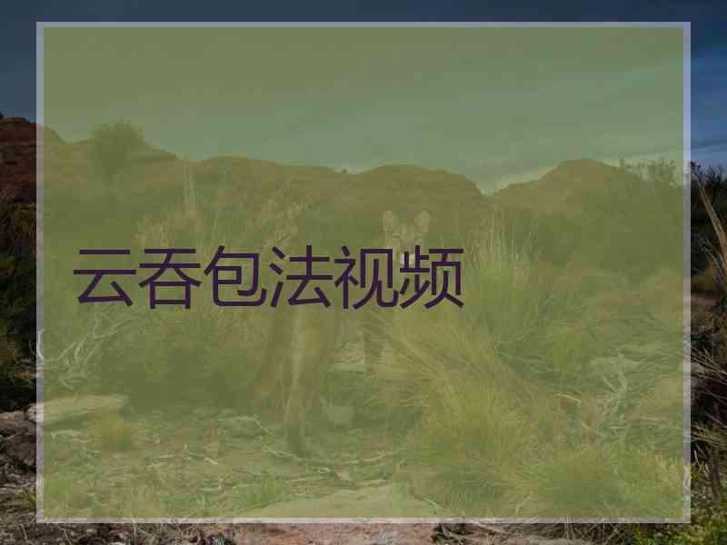 云吞包法视频