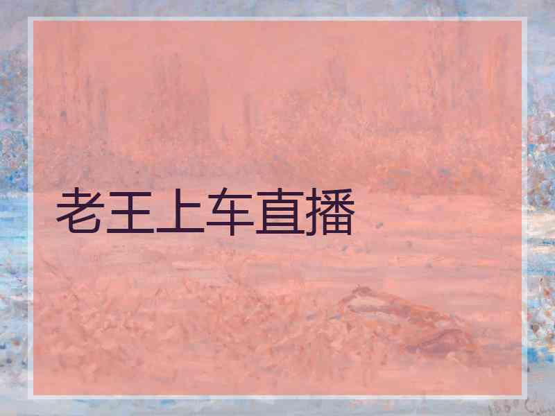 老王上车直播