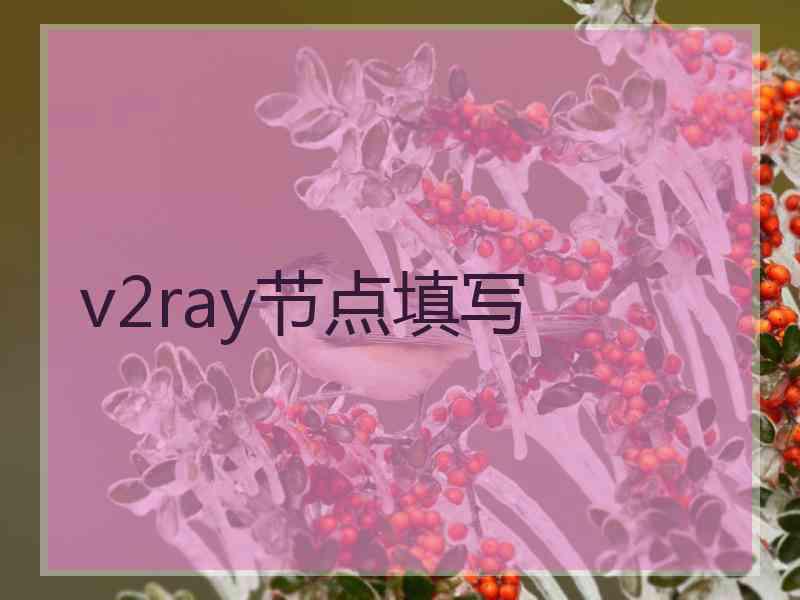 v2ray节点填写