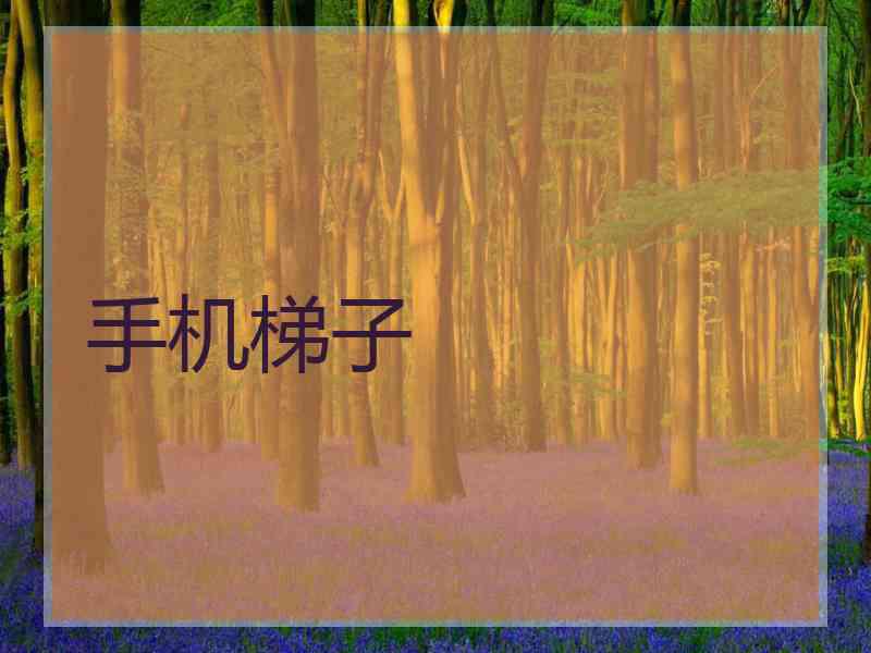 手机梯子