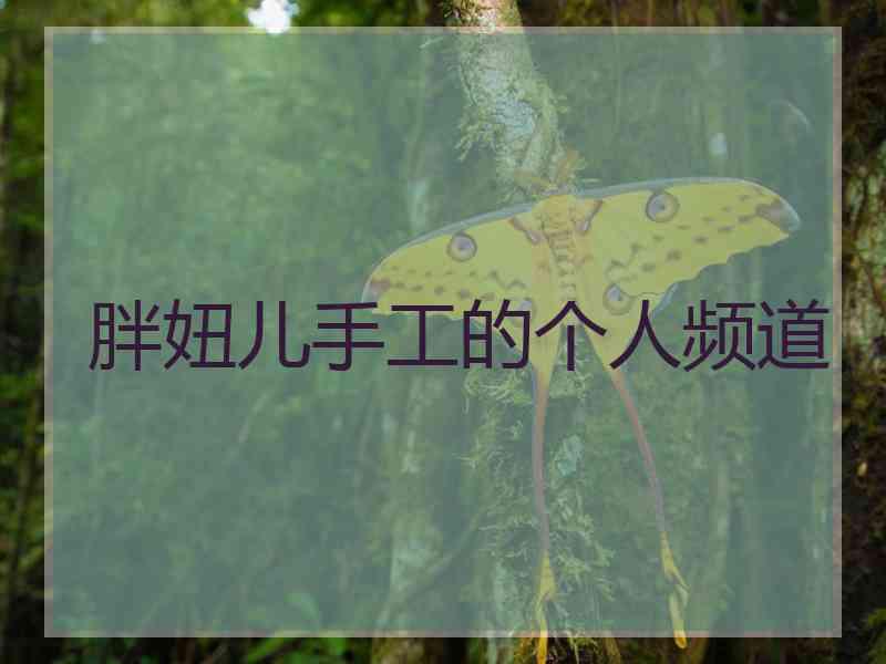 胖妞儿手工的个人频道
