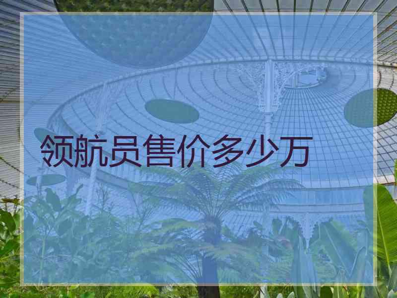 领航员售价多少万