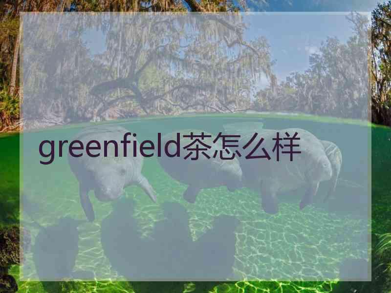 greenfield茶怎么样
