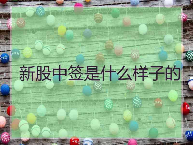 新股中签是什么样子的