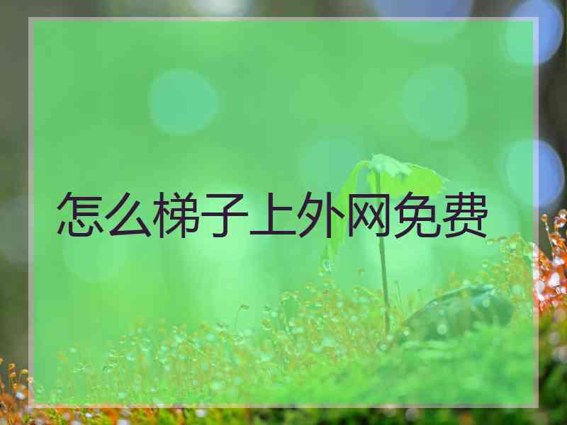 怎么梯子上外网免费