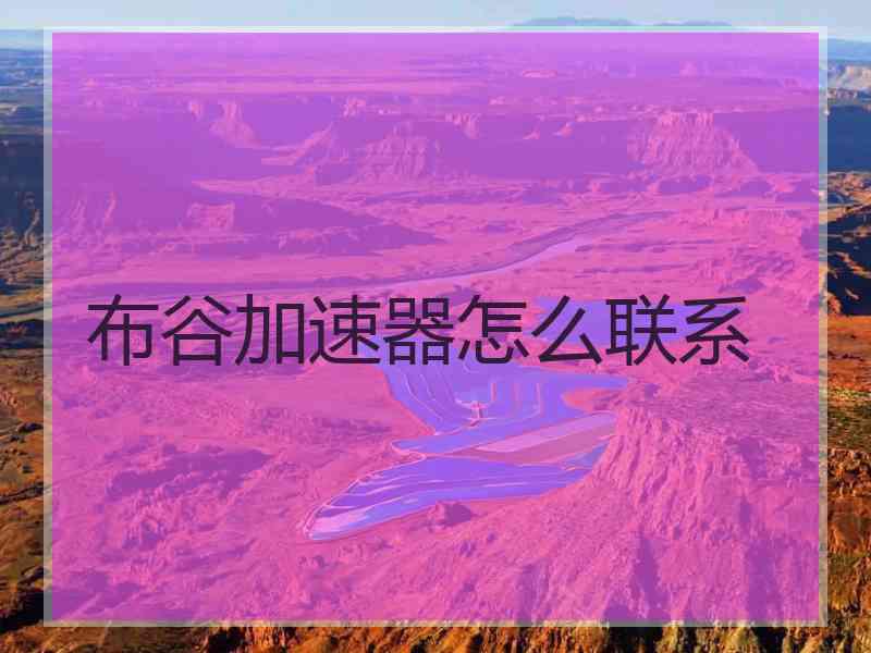 布谷加速器怎么联系