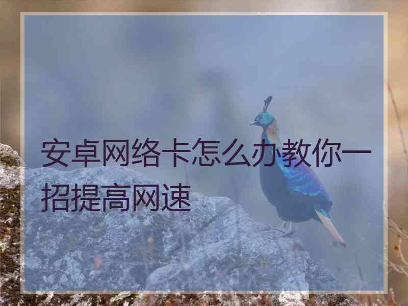 安卓网络卡怎么办教你一招提高网速