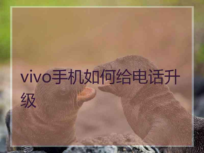 vivo手机如何给电话升级