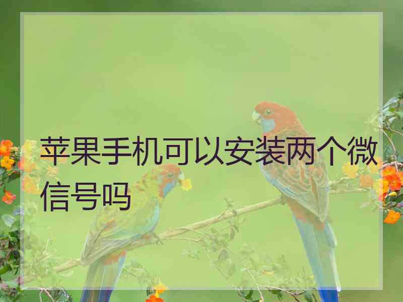 苹果手机可以安装两个微信号吗