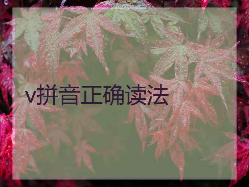 v拼音正确读法